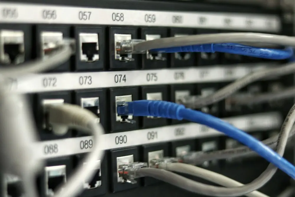 Network patch panel with blue and grey Ethernet cables